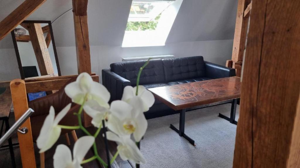 Apartment Exclusives Loft, Klimaanlage, Privat Parkplatz, Netflix, Wallbox, Dominospizza